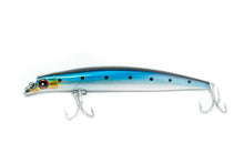 Load image into Gallery viewer, Joe Baggs Swarters