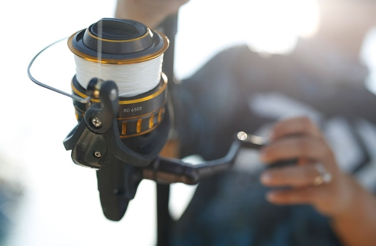 daiwa bg saltwater spinning reel 6500 Daiwa BG Spinning Reels – Nantucket Tackle Center