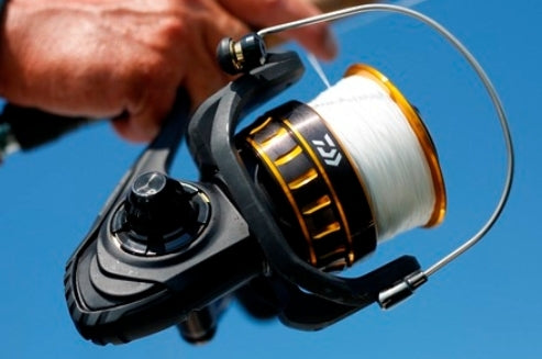 Daiwa BG Spinning Reels – Nantucket Tackle Center